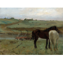 Reprodukcje obrazów Horses in a Meadow - Edgar Degas