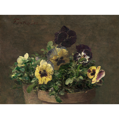 Potted Pansies