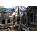 Wyjątkowa świątynia Angkor