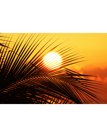 Zachód Słońca w tropikach