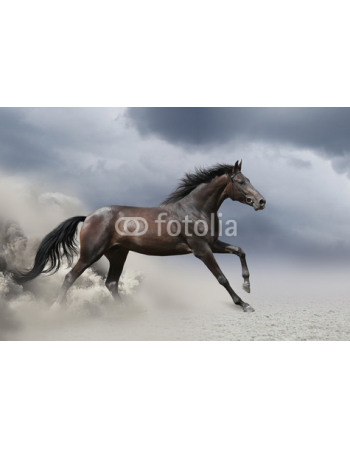 Biegnący Koń