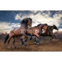 Konie bięgnące po pustyni