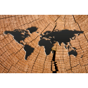 Mapa świata na drewnie