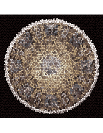 Obraz na płótnie mozaika w kształcie koła