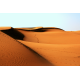 Obraz na płótnie Wydmy na pustynii