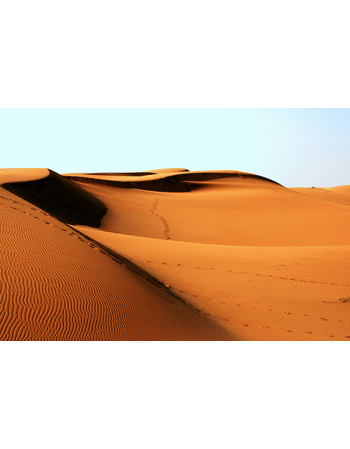 Wydmy na pustynii