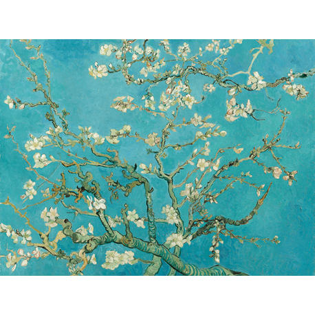 Reprodukcje obrazów Vincent van Gogh Almond Blossom