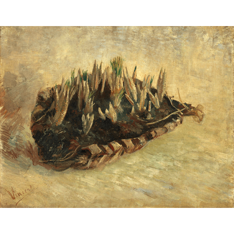 Reprodukcje obrazów Vincent van Gogh Basket of Crocus Bulbs