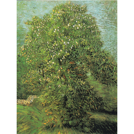 Reprodukcje obrazów Vincent van Gogh Blossoming Chestnut Tree