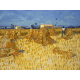 Reprodukcje obrazów Vincent van Gogh Corn Harvest in Provence