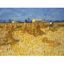 Reprodukcje obrazów Corn Harvest in Provence - Vincent van Gogh