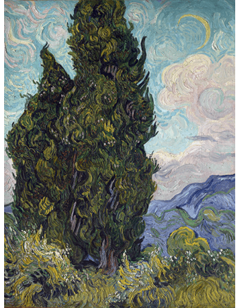 Reprodukcje obrazów Vincent van Gogh Cypresses