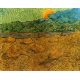 Reprodukcje obrazów Vincent van Gogh Evening landscape with rising moon 