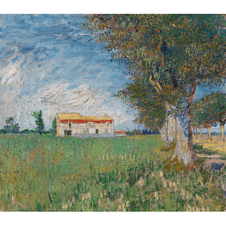 Reprodukcje obrazów Vincent van Gogh Farmhouse in a Wheatfield