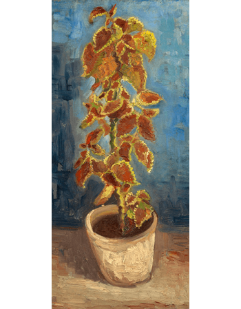 Reprodukcje obrazów Vincent van Gogh Flame Nettle in a Flowerpot
