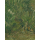 Reprodukcje obrazów Vincent van Gogh Garden with Butterflies