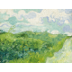Reprodukcje obrazów Vincent van Gogh Green Wheat Fields