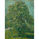 Reprodukcje obrazów Vincent van Gogh Horse Chestnut Tree in Blossom