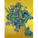 Reprodukcje obrazów Irises - Vincent van Gogh