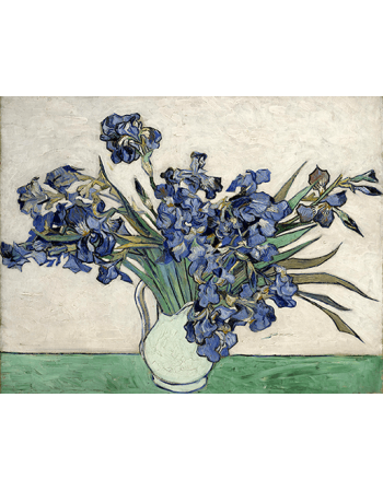 Reprodukcje obrazów Irises 2 - Vincent van Gogh