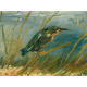 Reprodukcje obrazów Vincent van Gogh Kingfisher by the Waterside