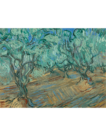 Reprodukcje obrazów Olive Grove - Vincent van Gogh