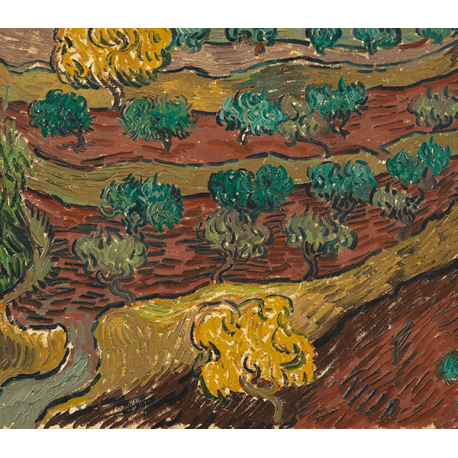 Reprodukcje obrazów Vincent van Gogh Olive Trees on a Hillside