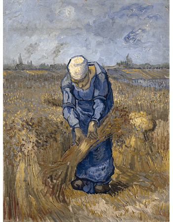 Reprodukcje obrazów Peasant woman binding sheaves - Vincent van Gogh