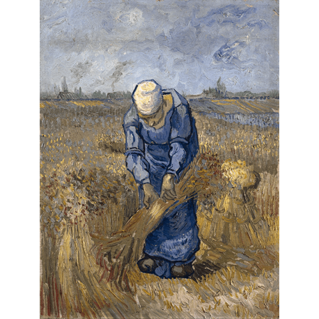 Reprodukcje obrazów Vincent van Gogh Peasant woman binding sheaves