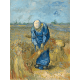 Reprodukcje obrazów Vincent van Gogh Peasant Woman Binding Sheaves (after Millet)