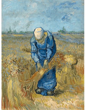 Reprodukcje obrazów Peasant Woman Binding Sheaves (after Millet) - Vincent van Gogh