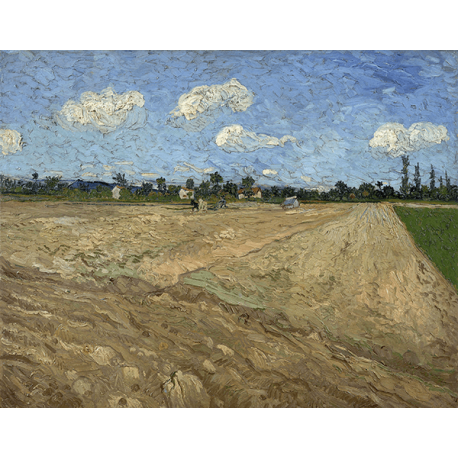 Reprodukcje obrazów Vincent van Gogh Plowed fields