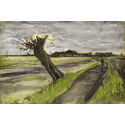 Reprodukcje obrazów Pollard willow - Vincent van Gogh