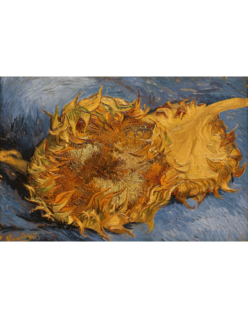 Reprodukcje obrazów Sunflowers_2 - Vincent van Gogh