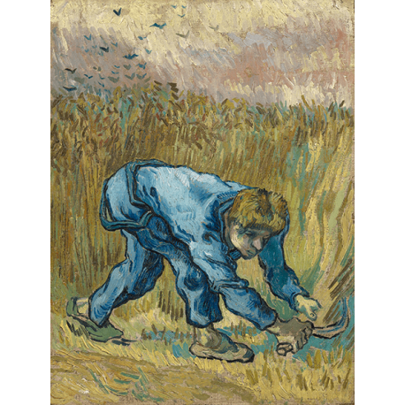 Reprodukcje obrazów Vincent van Gogh The Reaper