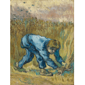 Reprodukcje obrazów The Reaper - Vincent van Gogh