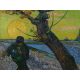 Reprodukcje obrazów Vincent van Gogh The Sower