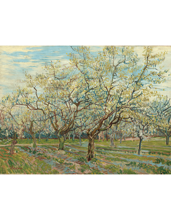 Reprodukcje obrazów Vincent van Gogh The White Orchard