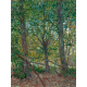 Reprodukcje obrazów Vincent van Gogh Trees