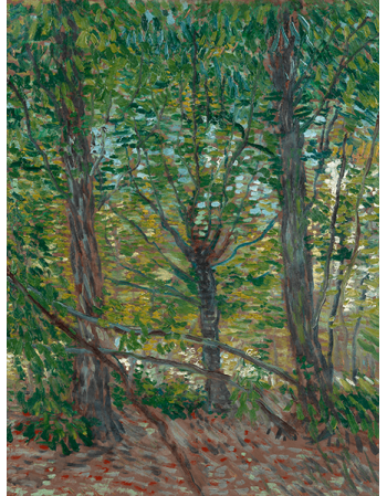 Reprodukcje obrazów Vincent van Gogh Trees