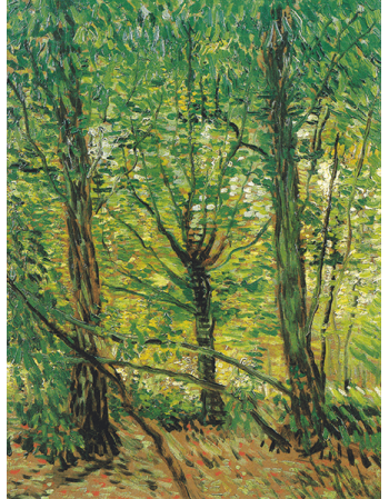 Reprodukcje obrazów Vincent van Gogh Tress and Undergrowth