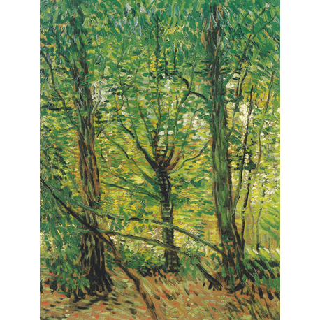 Reprodukcje obrazów Vincent van Gogh Tress and Undergrowth