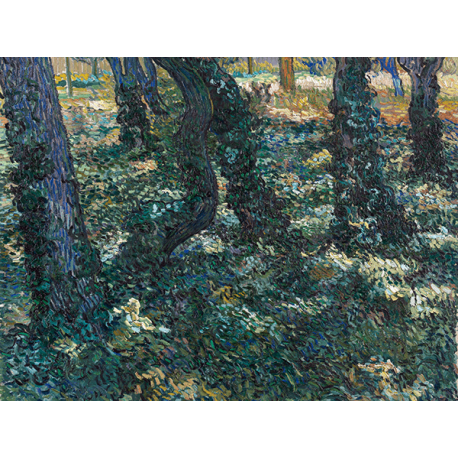 Reprodukcje obrazów Vincent van Gogh Undergrowth