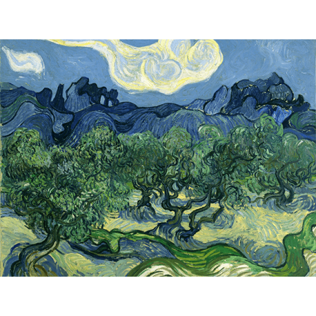 Reprodukcje obrazów Vincent van Gogh The Olive Trees