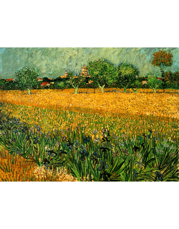 Reprodukcje obrazów View of arles with irises in the foreground - Vincent van Gogh