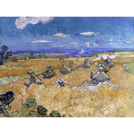 Reprodukcje obrazów Vincent van Gogh Wheat Fields with Reaper, Auvers