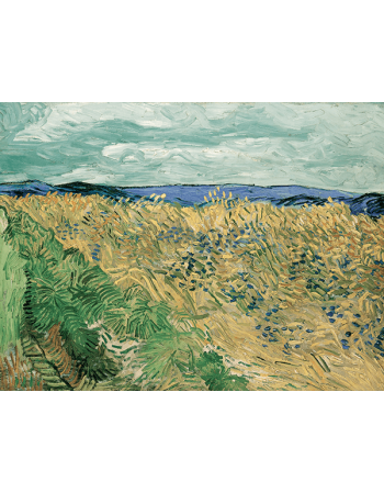 Reprodukcje obrazów Wheatfield With Cornflowers - Vincent van Gogh