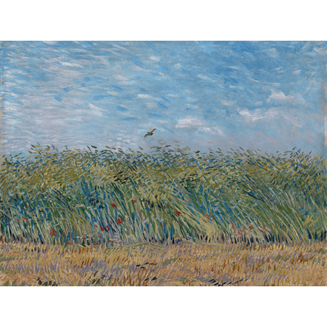Reprodukcje obrazów Vincent van Gogh Wheatfield with Partridge
