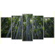 Obraz na płótnie poliptyk Bambusowe drzewa