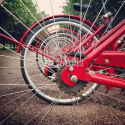 Czerwone rowery